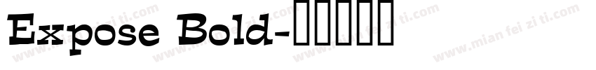 Expose Bold字体转换